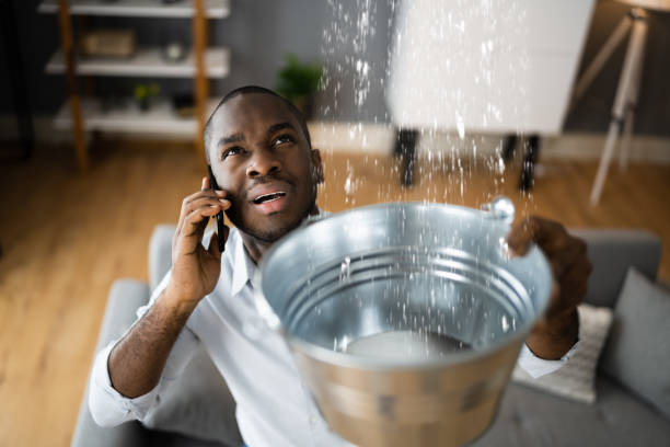 Best Flood damage cleanup  in Headland, AL