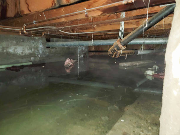Best 24/7 water damage repair  in Headland, AL