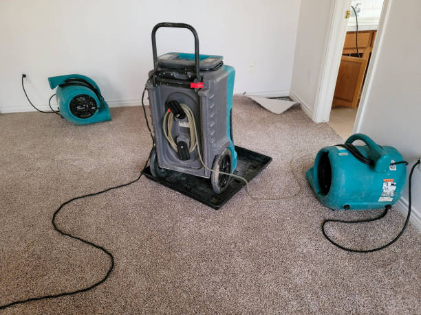 Best Water damage contractors near me  in Headland, AL
