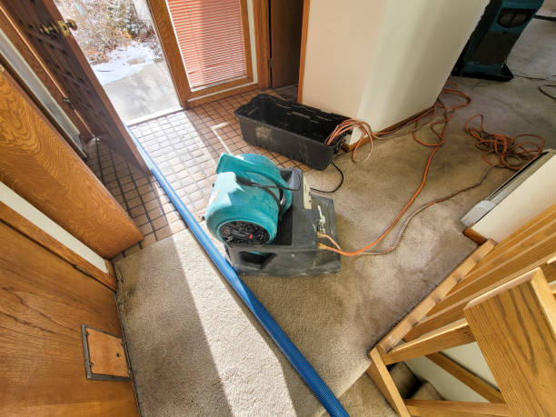 Best Water damage restoration near me  in Headland, AL