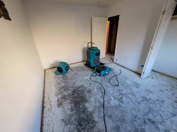 Best Water damage restoration near me  in Headland, AL