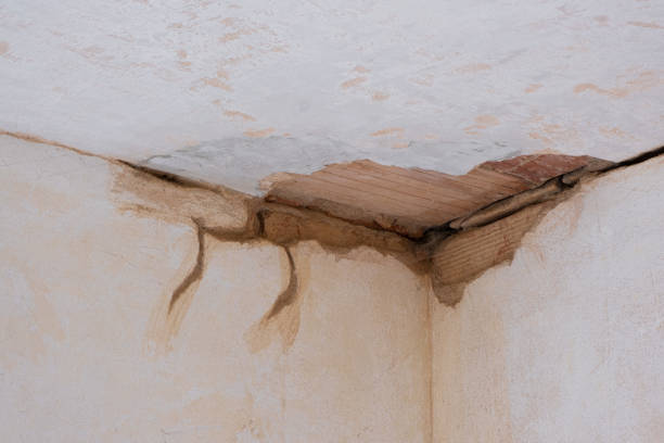 Best Fire Damage Restoration  in Headland, AL