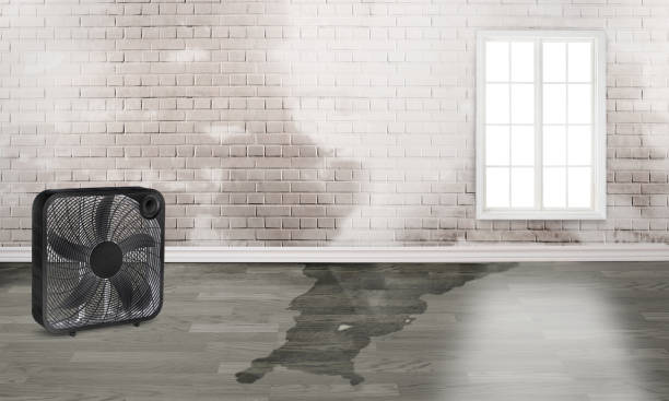 Best 24-hour water damage restoration  in Headland, AL