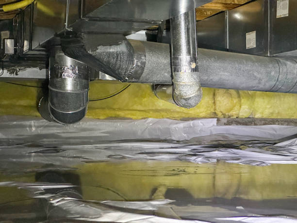 Best Sewage cleanup and water damage restoration  in Headland, AL
