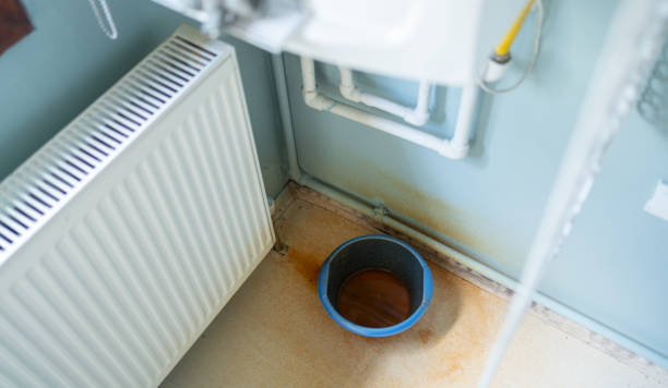 Best Carpet water damage restoration  in Headland, AL