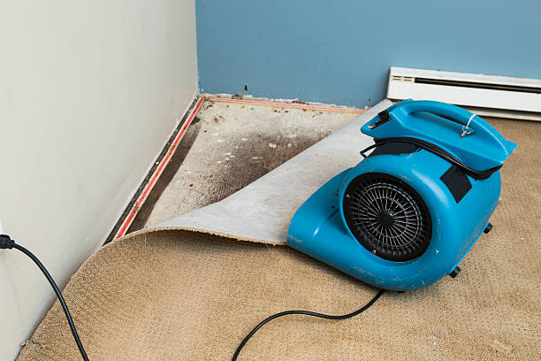Water damage restoration insurance claims in AL